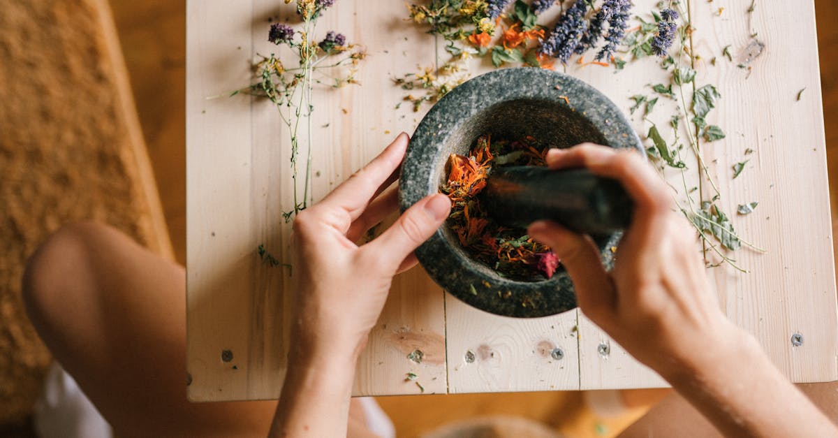 découvrez des remèdes naturels efficaces pour améliorer votre bien-être au quotidien. explorez des solutions simples et naturelles pour soulager divers maux, renforcer votre système immunitaire et favoriser une santé optimale.