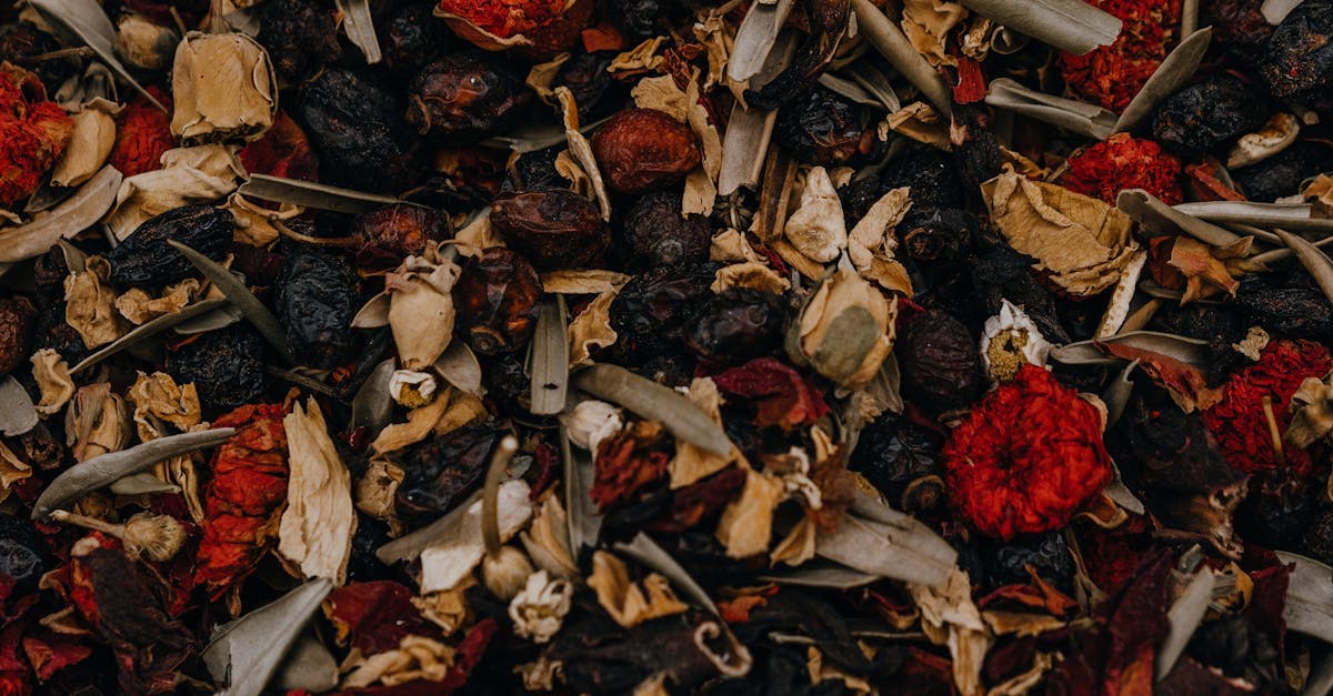 découvrez des remèdes naturels efficaces pour soulager divers maux et améliorer votre bien-être au quotidien. explorez des solutions à base de plantes et de techniques éprouvées pour une santé optimale.