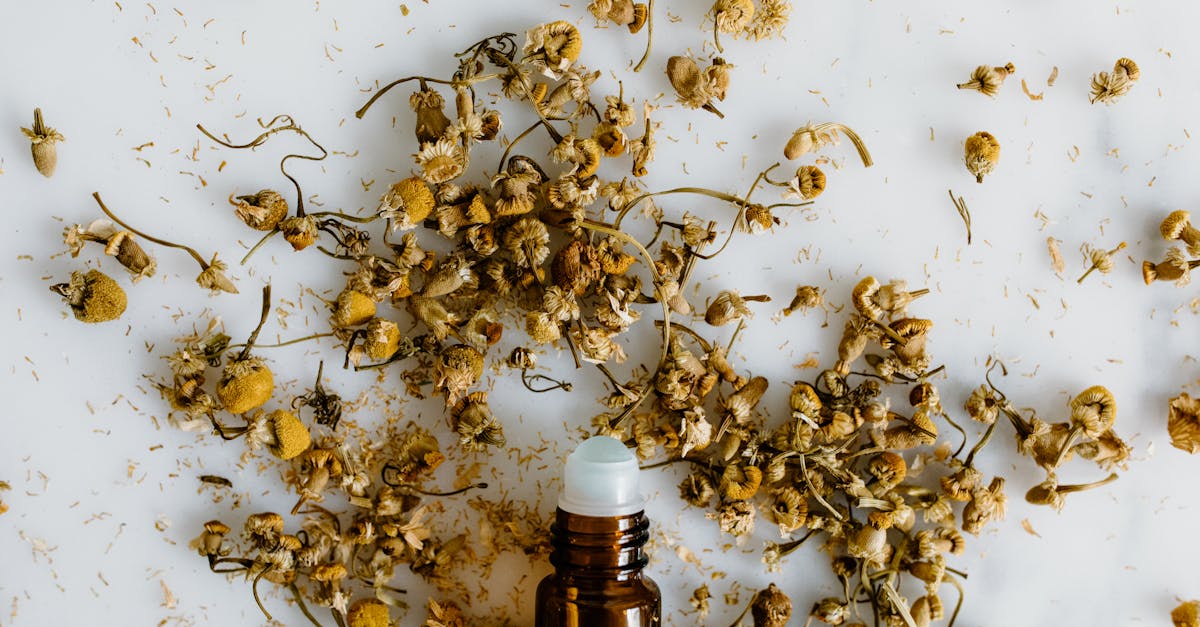 découvrez les bienfaits des remèdes naturels pour améliorer votre santé et votre bien-être. explorez des solutions simples et efficaces tirées de la nature pour soulager divers maux, renforcer votre système immunitaire et favoriser un mode de vie sain.