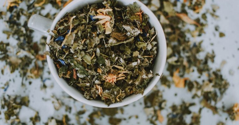 découvrez les bienfaits des remèdes naturels pour améliorer votre santé et votre bien-être. explorez des solutions simples et efficaces, à base d'ingrédients naturels, pour soulager divers maux et renforcer votre vitalité.
