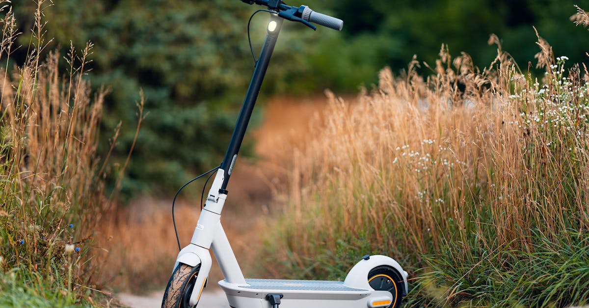 découvrez des solutions naturelles efficaces pour améliorer votre bien-être au quotidien. explorez nos conseils et astuces pour une vie saine et harmonieuse grâce aux bienfaits de la nature.