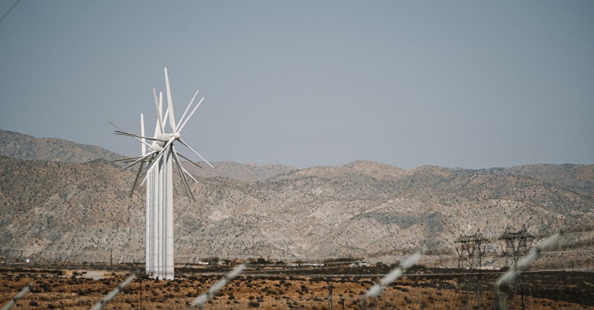 découvrez des solutions naturelles efficaces pour améliorer votre bien-être et votre santé. explorez des remèdes à base de plantes, des astuces éco-responsables et des approches holistiques qui respectent l'environnement.