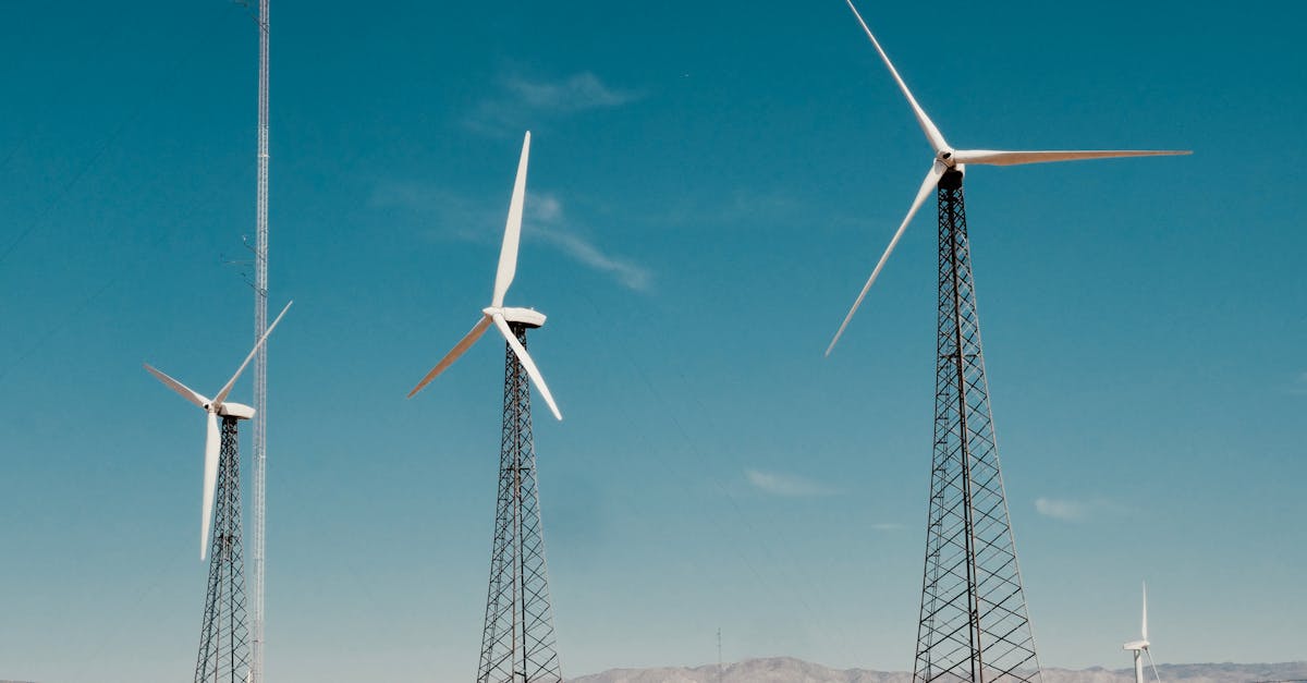 découvrez des solutions naturelles pour améliorer votre bien-être au quotidien. des astuces, des recettes et des conseils pour adopter un mode de vie sain et respectueux de l'environnement.