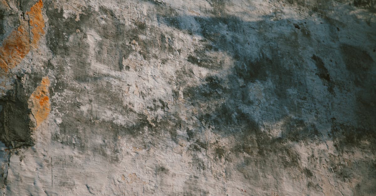découvrez des solutions naturelles pour éliminer les taches tenaces de vos textiles et surfaces. nos conseils et recettes de détachants écologiques vous aideront à garder votre maison propre tout en respectant l'environnement. adoptez des méthodes efficaces et saines pour un nettoyage sans produits chimiques.