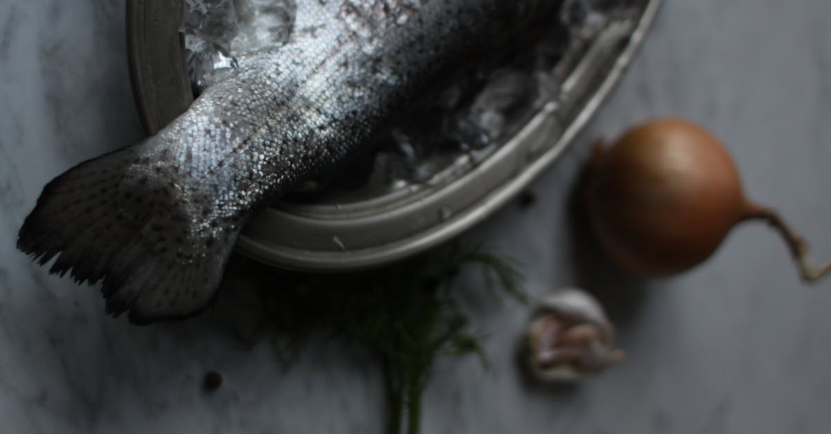 découvrez les meilleures méthodes de conservation des oignons pour prolonger leur fraîcheur et saveur. apprenez des astuces pratiques et efficaces pour stocker vos oignons correctement, que ce soit dans votre cuisine ou pour des recettes futures.
