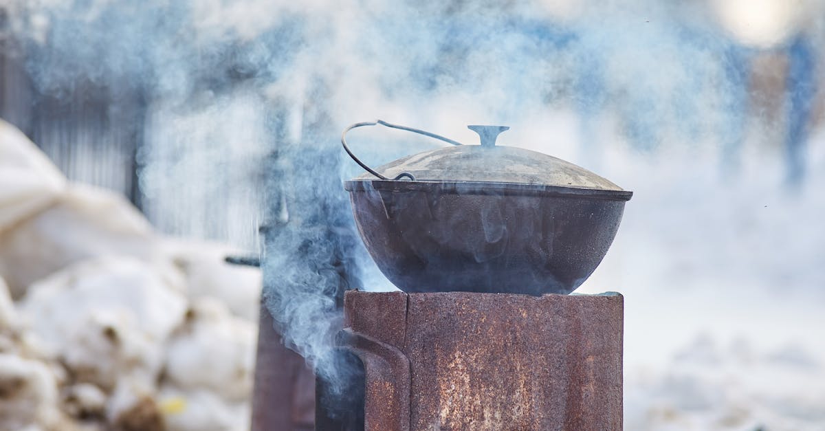 découvrez les secrets de l'oven smoke, une méthode de cuisson qui apporte une saveur unique à vos plats. apprenez à maîtriser cette technique pour impressionner vos invités et sublimer vos repas avec des arômes fumés irrésistibles.