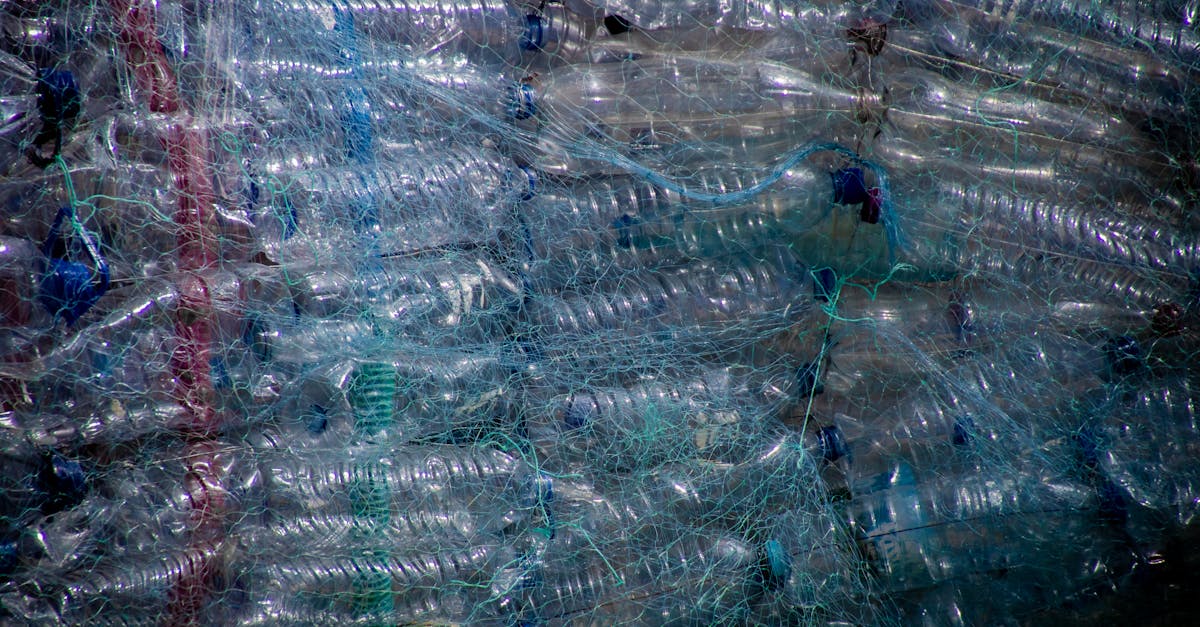 découvrez l'univers du plastique, ses utilisations innovantes, son impact sur l'environnement et les alternatives durables pour un avenir plus responsable.