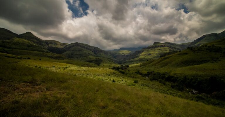 découvrez nos techniques de préservation innovantes pour garantir la durabilité de vos ressources naturelles et culturelles. engagez-vous pour un avenir durable grâce à des méthodes respectueuses de l'environnement.