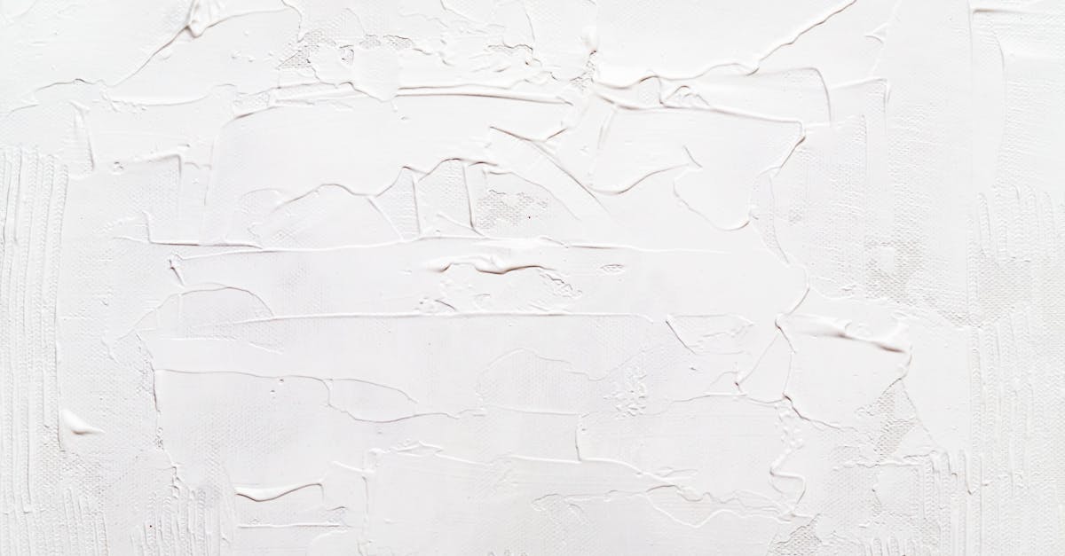 découvrez les bienfaits des shampoings solides : une alternative écologique et pratique pour des cheveux sains et brillants. fini le plastique, adoptez une routine beauté durable et respectueuse de l'environnement avec nos shampoings solides adaptés à tous les types de cheveux.