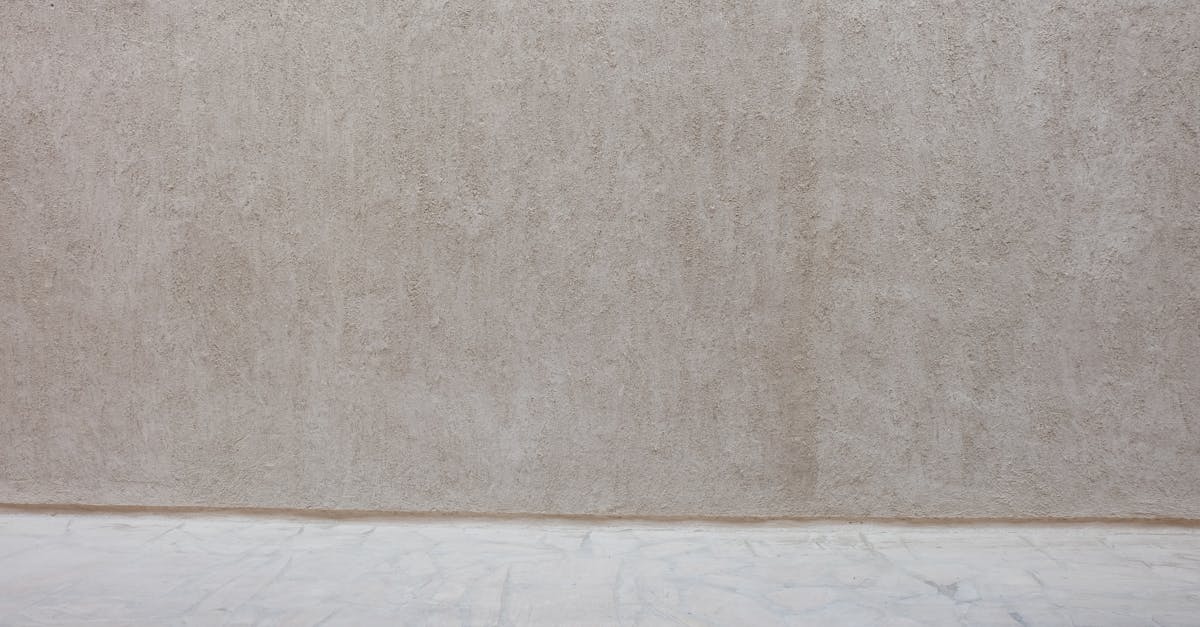 découvrez les shampoings solides : une alternative éco-friendly et pratique pour des cheveux éclatants de santé. adoptez une routine capillaire durable tout en réduisant les déchets plastiques.