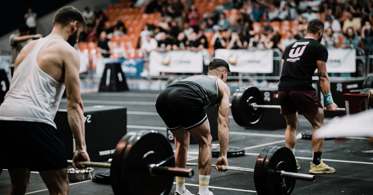 découvrez tout sur la testostérone, l'hormone clé pour la santé masculine et féminine. apprenez comment elle affecte la libido, la masse musculaire et l'énergie, ainsi que les moyens d'équilibrer vos niveaux naturellement.