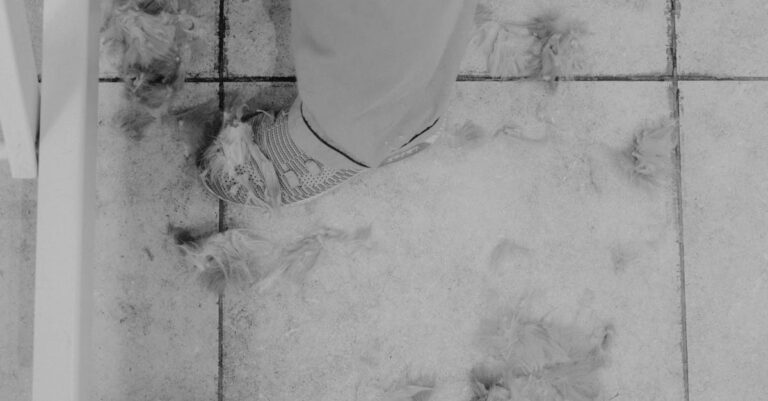 découvrez nos conseils et astuces pour l'entretien efficace de vos carreaux. apprenez à prolonger la durabilité de vos carreaux avec des techniques de nettoyage, d'entretien et de protection adaptées. transformez l'apparence de vos espaces grâce à une maintenance régulière de vos revêtements de sol et mur.