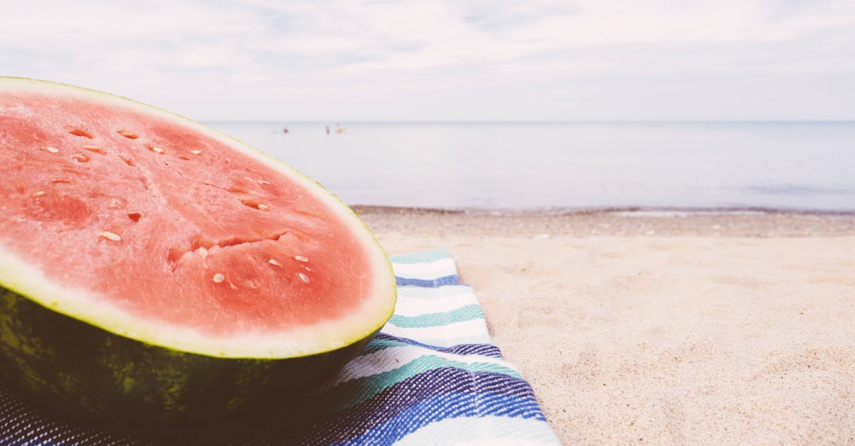 découvrez l'univers rafraîchissant de la pastèque, un fruit juteux et savoureux qui ravira vos papilles. apprenez ses bienfaits pour la santé, des idées de recettes estivales et des astuces pour choisir la meilleure pastèque lors de vos courses.