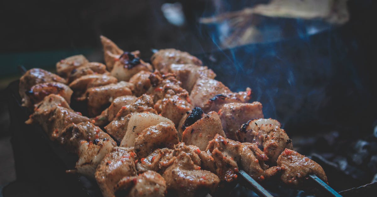 découvrez tous nos conseils et astuces pour un barbecue réussi ! recettes savoureuses, techniques de cuisson et accessoires indispensables pour profiter pleinement de vos grillades en pleine nature ou dans votre jardin. préparez de délicieux moments conviviaux autour de la cuisson au barbecue.