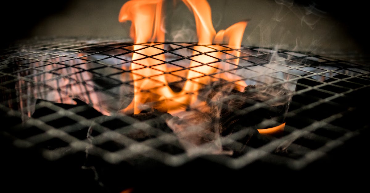 découvrez l'art du barbecue avec nos conseils, recettes savoureuses et astuces pour des grillades parfaites. que vous soyez débutant ou expert, transformez vos repas en un festin convivial au grand air.
