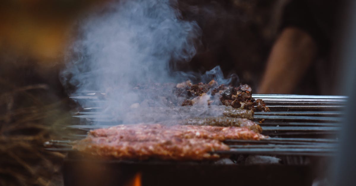 découvrez l'art du barbecue avec nos conseils, recettes savoureuses et astuces pour réussir vos grillades. que vous soyez débutant ou expert, transformez vos repas en de véritables festins en plein air.
