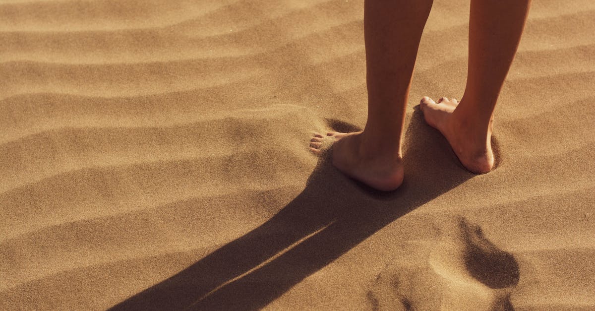 découvrez nos gommages pour le corps, des soins exfoliants qui revitalisent votre peau en éliminant les impuretés et les cellules mortes. offrez-vous une expérience de spa à domicile avec des ingrédients naturels pour une peau douce et éclatante.