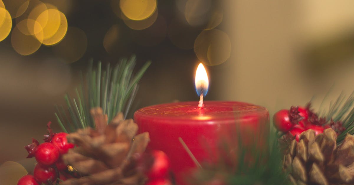 découvrez notre collection de bougies élégantes et parfumées qui créent une ambiance chaleureuse et apaisante. parfaites pour toutes les occasions, nos bougies allient design et qualité pour illuminer votre intérieur.