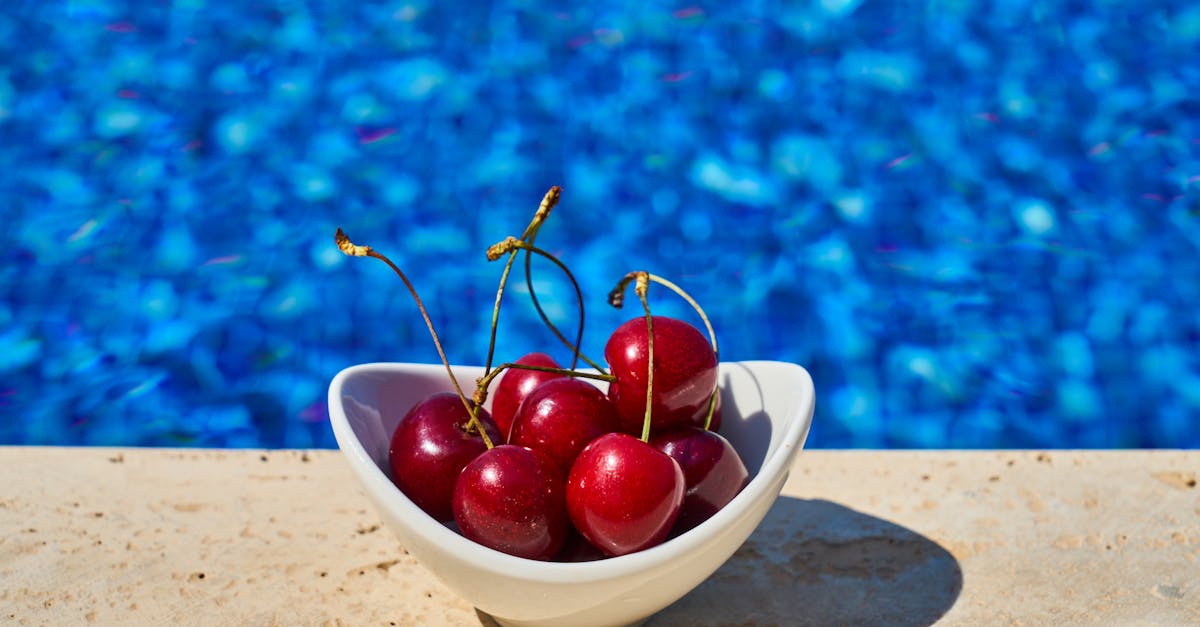 découvrez tout ce qu'il faut savoir sur les noyaux de cerise : leurs utilisations, bienfaits et recettes originales. apprenez à tirer parti de ce sous-produit souvent négligé pour des créations culinaires surprenantes.