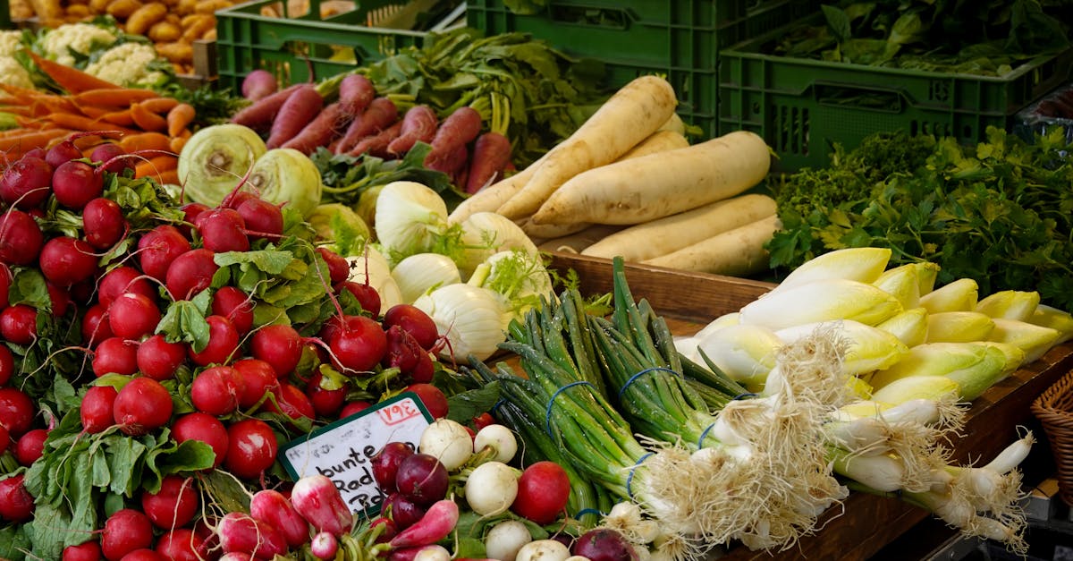 découvrez le chicorée, une plante aux multiples bienfaits, utilisée dans la cuisine et comme remède naturel. apprenez tout sur ses variétés, ses recettes savoureuses, et ses vertus pour votre santé. explorez un monde de saveurs et de bien-être avec le chicorée.
