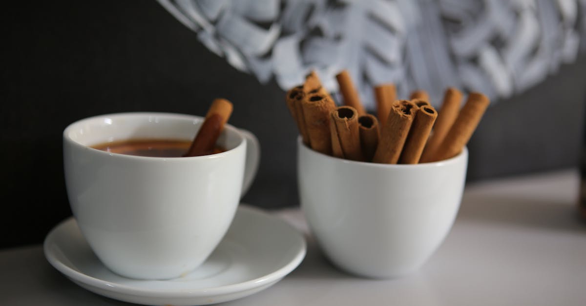 découvrez la cannelle, une épice aromatique aux multiples bienfaits pour la santé. apprenez comment l'intégrer facilement dans vos plats et boissons pour rehausser vos recettes avec son goût chaleureux et réconfortant.