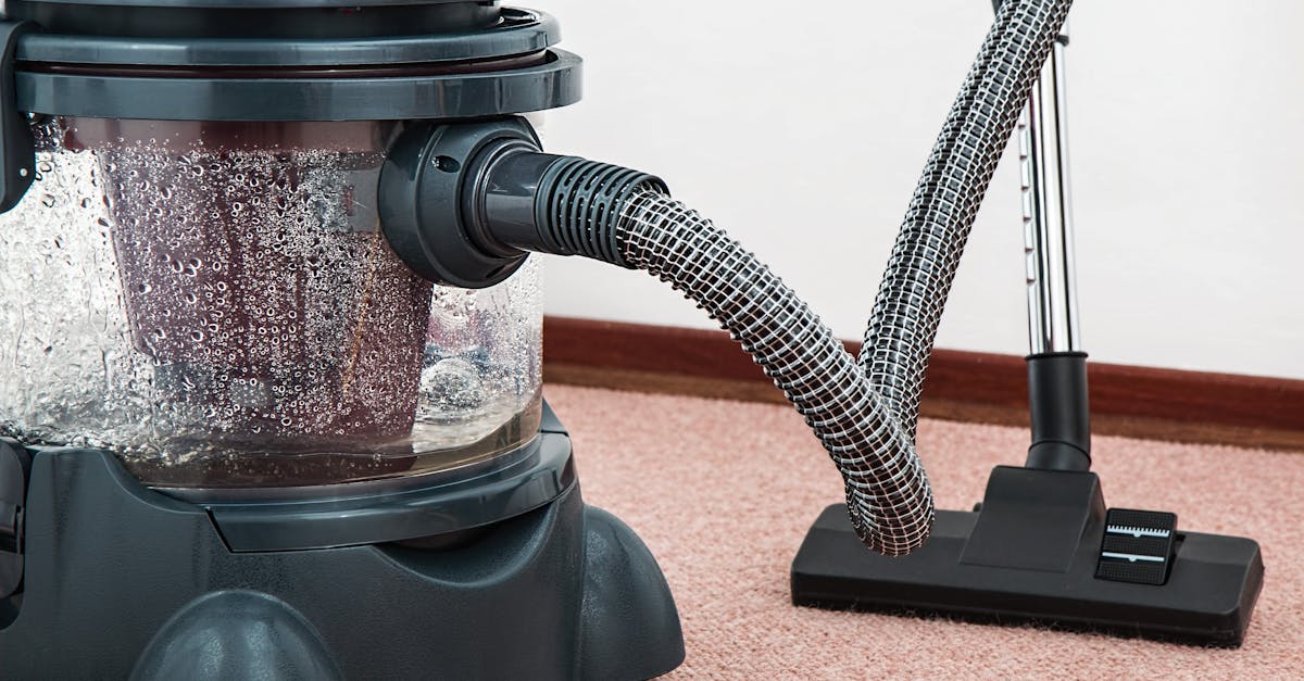 découvrez nos astuces et conseils pratiques pour un nettoyage efficace et rapide de votre maison. apprenez à choisir les bons produits et à adopter des méthodes durables pour un intérieur sain et éclatant.