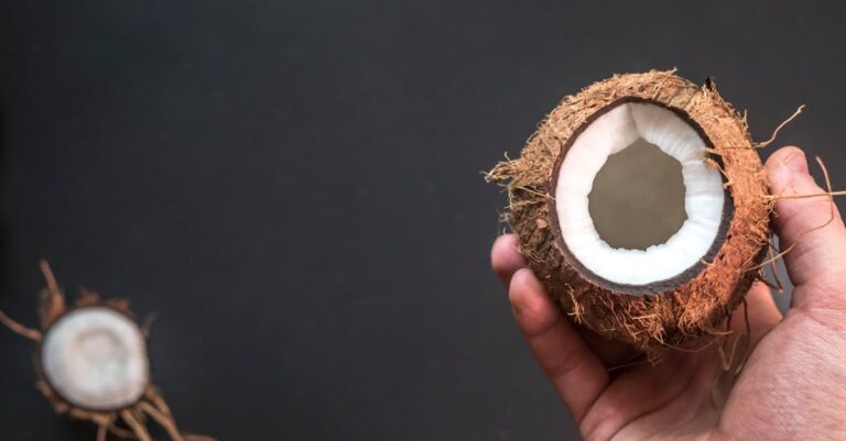 découvrez les bienfaits exceptionnels de l'huile de coco, un véritable trésor naturel pour votre peau, vos cheveux et votre cuisine. apprenez comment l'intégrer dans votre routine quotidienne pour un bien-être optimal.