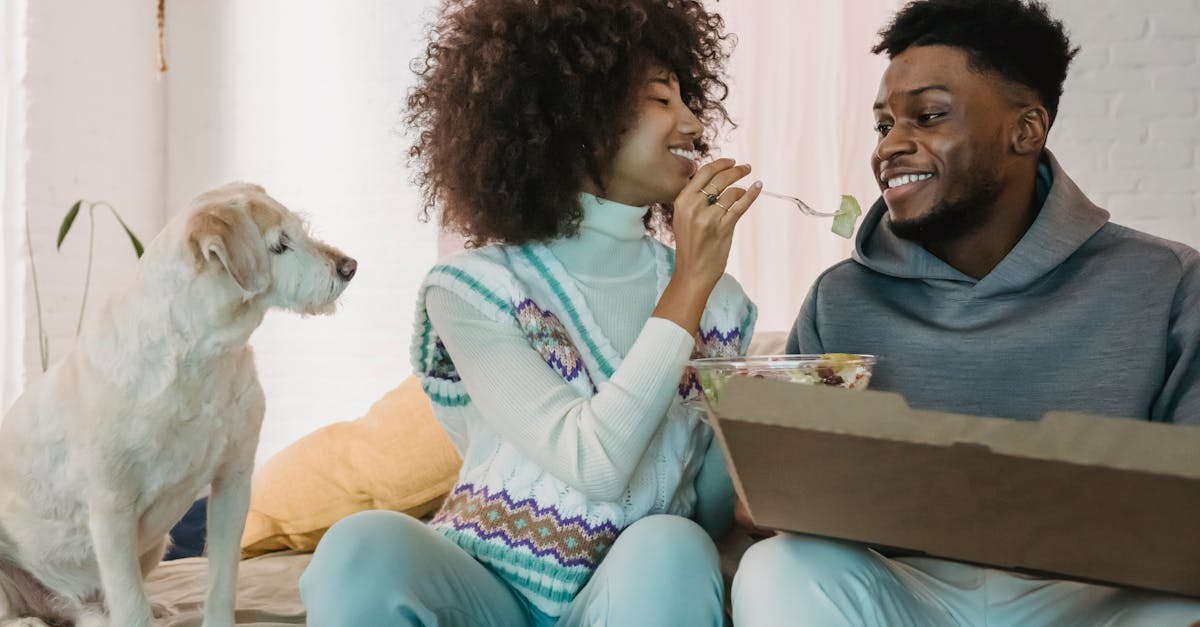 découvrez les raisons pour lesquelles votre chien refuse sa nourriture et obtenez des conseils d'experts pour résoudre ce problème. apprenez à adapter son alimentation pour maintenir sa santé et son bien-être.