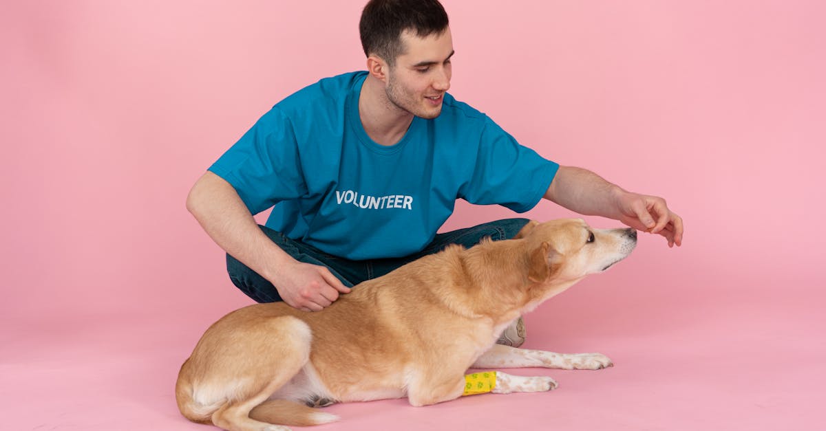 découvrez les raisons derrière le refus de nourriture pour chiens et comment y remédier. apprenez à reconnaître les préférences alimentaires de votre compagnon à quatre pattes et à choisir la meilleure alimentation pour sa santé et son bien-être.