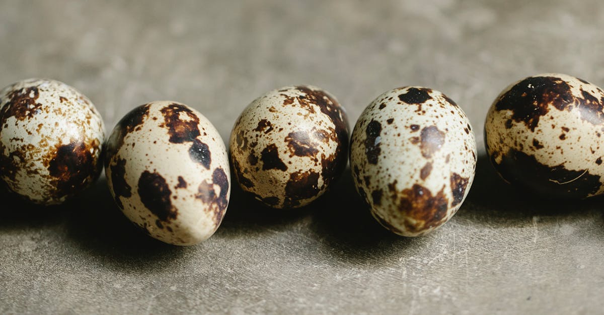 découvrez les vertus insoupçonnées des coquilles d'œufs : riche en calcium, elles peuvent nourrir vos plantes, renforcer vos os et même servir d'ingrédient dans vos recettes de beauté. apprenez comment les utiliser au quotidien pour un mode de vie plus sain et durable.