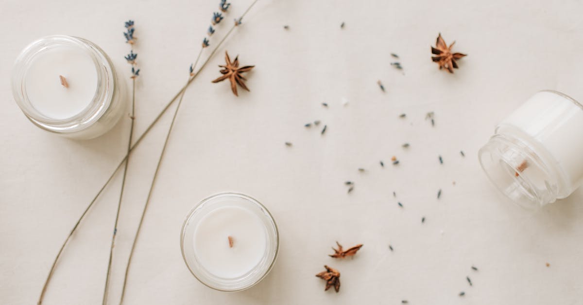 découvrez les bienfaits des huiles essentielles pour votre bien-être. apprenez à les utiliser dans votre quotidien pour apaiser le stress, améliorer votre santé et créer une atmosphère relaxante à la maison.