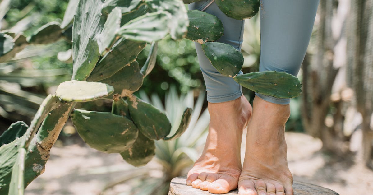 découvrez footcare, la solution ultime pour le bien-être de vos pieds. profitez de nos conseils, produits et soins dédiés pour maintenir vos pieds en pleine santé et les garder confortables au quotidien.