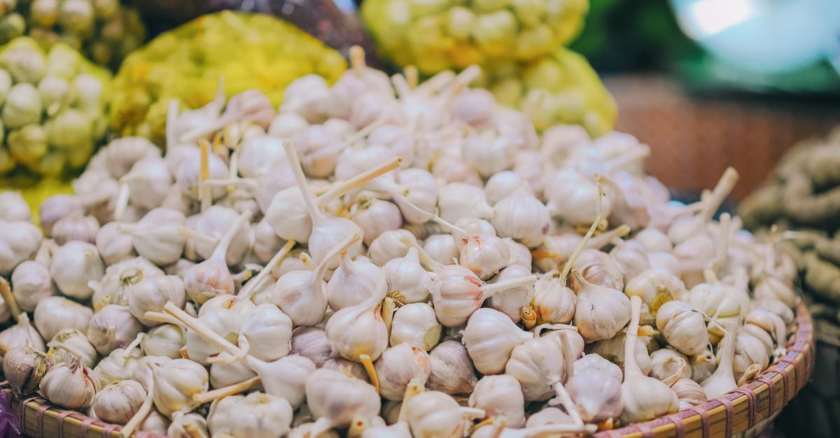 découvrez les bienfaits de l'ail, cet ingrédient aromatique aux multiples vertus santé. apprenez à l'utiliser en cuisine pour rehausser vos plats tout en profitant de ses propriétés antioxydantes et anti-inflammatoires. explorez nos recettes et conseils sur l'ail pour une alimentation savoureuse et équilibrée.
