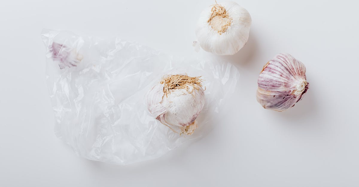 découvrez les multiples bienfaits de l'ail, ses usages en cuisine et ses propriétés médicinales. apprenez comment intégrer cet aliment puissant dans votre alimentation pour améliorer votre santé et savourer des plats délicieux.