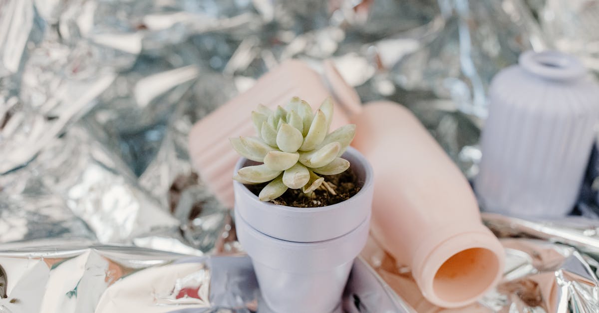 découvrez les bienfaits de l'argile verte, un soin naturel aux propriétés purifiantes et détoxifiantes. parfaite pour les peaux grasses et à imperfections, elle régule l'excès de sébum et apaise les irritations. explorez nos conseils et recettes pour profiter pleinement de ce trésor de la nature.