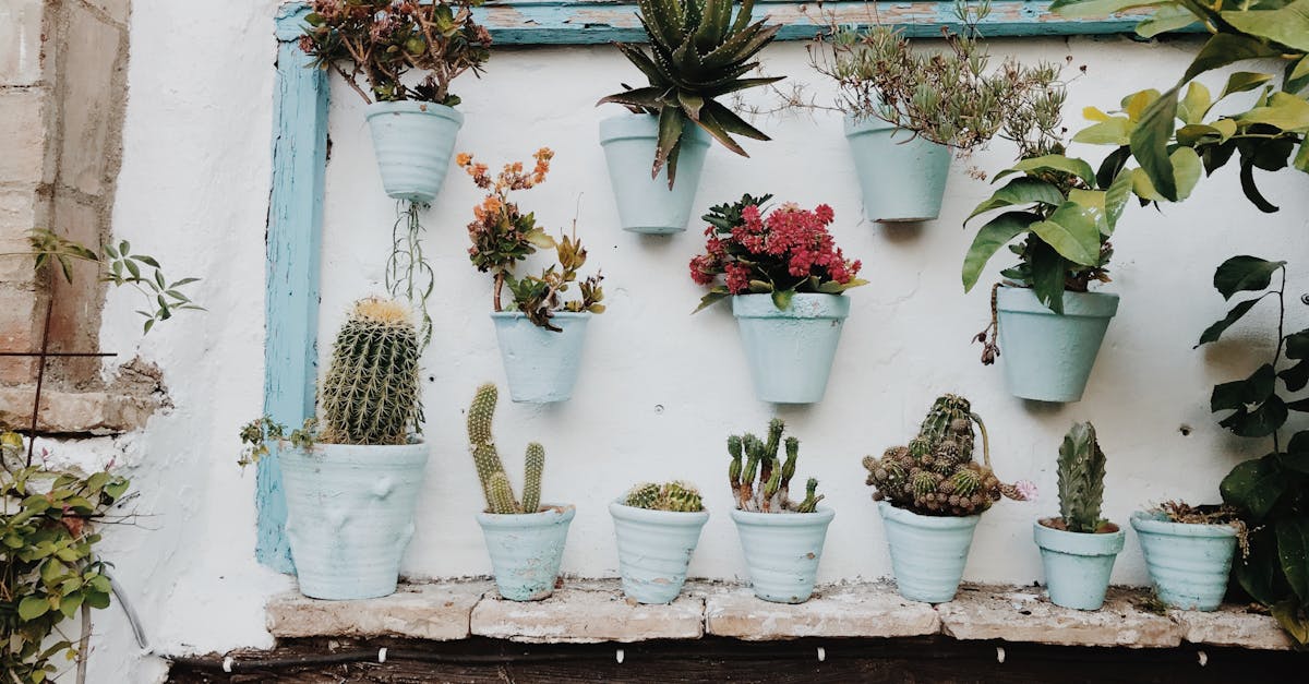 découvrez l'univers fascinant des plantes d'intérieur ! apprenez à choisir, entretenir et disposer vos houseplants pour embellir votre espace de vie. conseils, astuces et inspirations pour tous les passionnés de botanique.