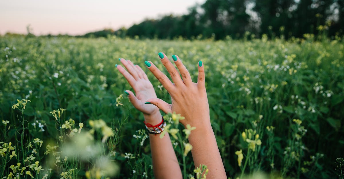 découvrez nos conseils et astuces pour favoriser la croissance des ongles. apprenez comment entretenir et renforcer vos ongles naturellement tout en adoptant des habitudes saines pour une manucure parfaite.