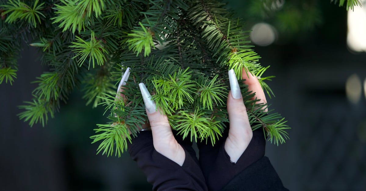découvrez nos conseils et astuces pour favoriser la croissance des ongles. apprenez comment prendre soin de vos ongles et les rendre plus forts et plus longs grâce à des remèdes naturels et des routines efficaces.