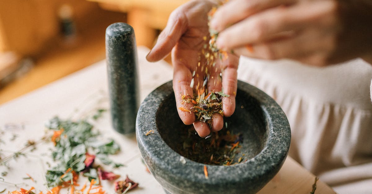 découvrez des remèdes naturels efficaces pour améliorer votre bien-être au quotidien. explorez des solutions de santé douces et respectueuses de votre corps, allant des plantes médicinales aux traitements à base de fleurs. optez pour une approche holistique et vivez en harmonie avec la nature.