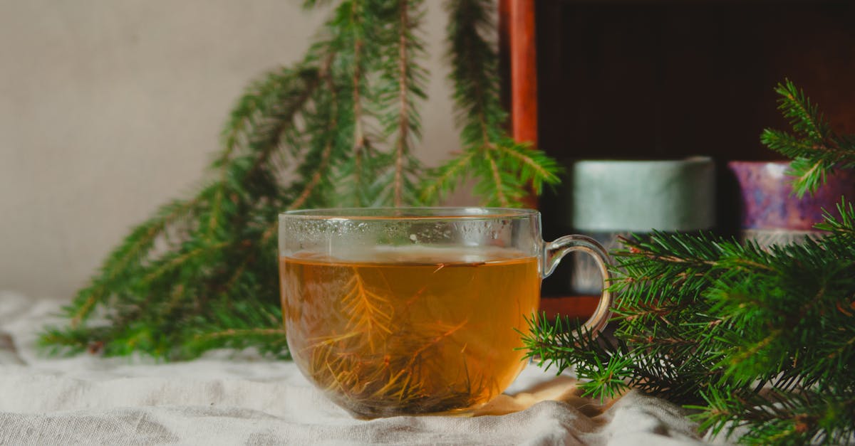découvrez les bienfaits des remèdes naturels pour améliorer votre santé et votre bien-être. explorez des solutions simples et efficaces à base de plantes, d'herbes et d'ingrédients naturels pour soulager divers maux et favoriser une vie équilibrée.