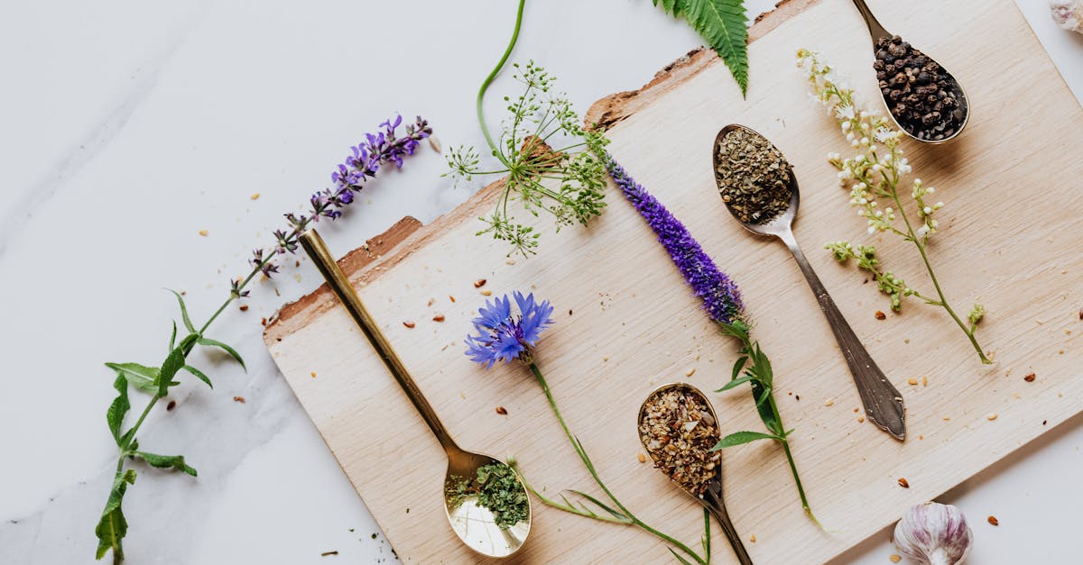 découvrez les bienfaits des remèdes naturels pour améliorer votre santé et bien-être. explorez des solutions holistiques qui utilisent des ingrédients issus de la nature pour soulager divers maux et favoriser un mode de vie sain.