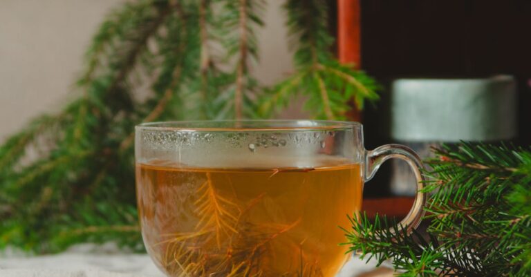 découvrez les bienfaits des remèdes naturels pour améliorer votre santé et votre bien-être au quotidien. apprenez à utiliser des plantes, des huiles essentielles et d'autres solutions naturelles pour soulager divers maux et favoriser un mode de vie sain.