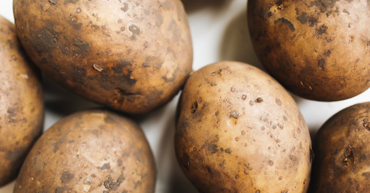 découvrez tout sur les pommes de terre : recettes savoureuses, astuces de cuisine et bienfaits nutritionnels. apprenez à les préparer de manière délicieuse pour accompagner tous vos plats.