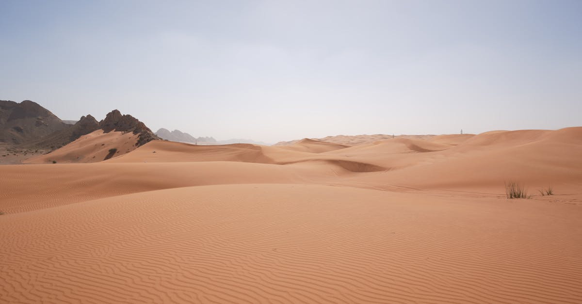 découvrez l'univers fascinant du quicksand, cette substance mystérieuse qui semble engloutir tout sur son passage. apprenez comment elle se forme, ses propriétés intrigantes et les mythes qui l'entourent. plongez dans les joies et les dangers du quicksand à travers des articles captivants et des anecdotes surprenantes.