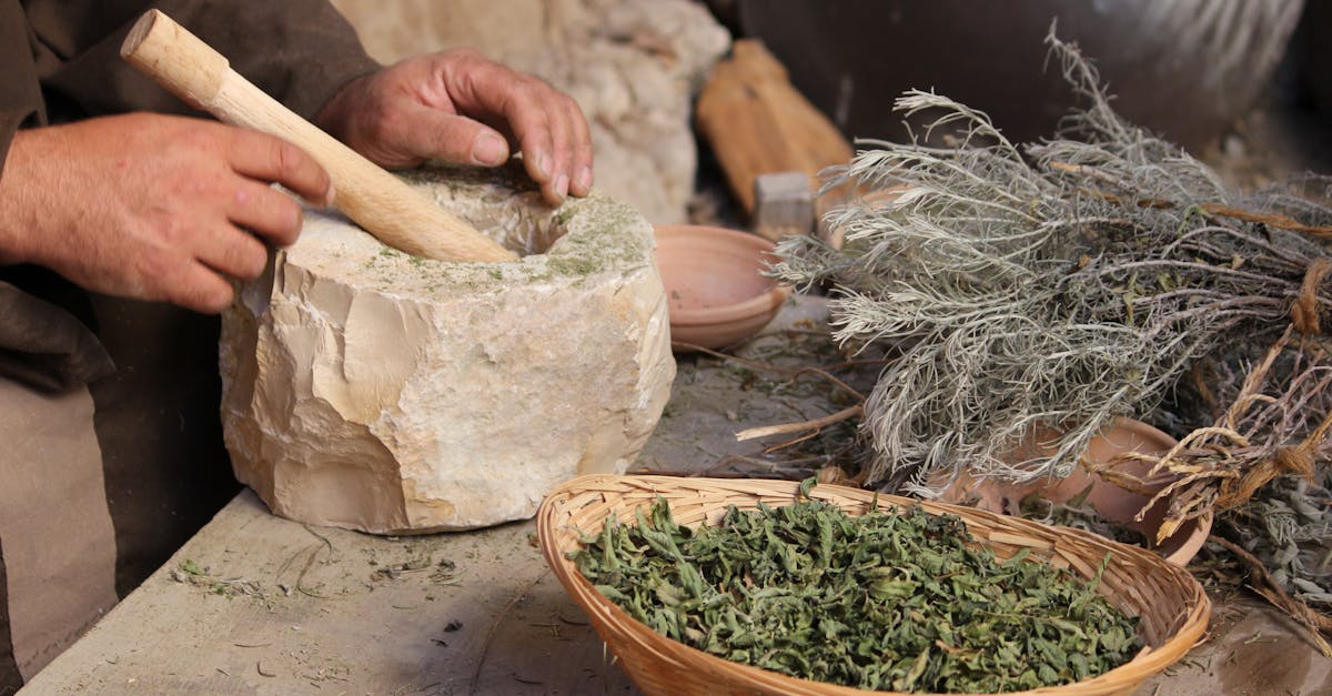 découvrez des remèdes naturels et efficaces pour améliorer votre bien-être au quotidien. explorez des solutions pour soulager divers maux, favoriser la guérison et adopter un mode de vie sain grâce à des astuces simples et accessibles.