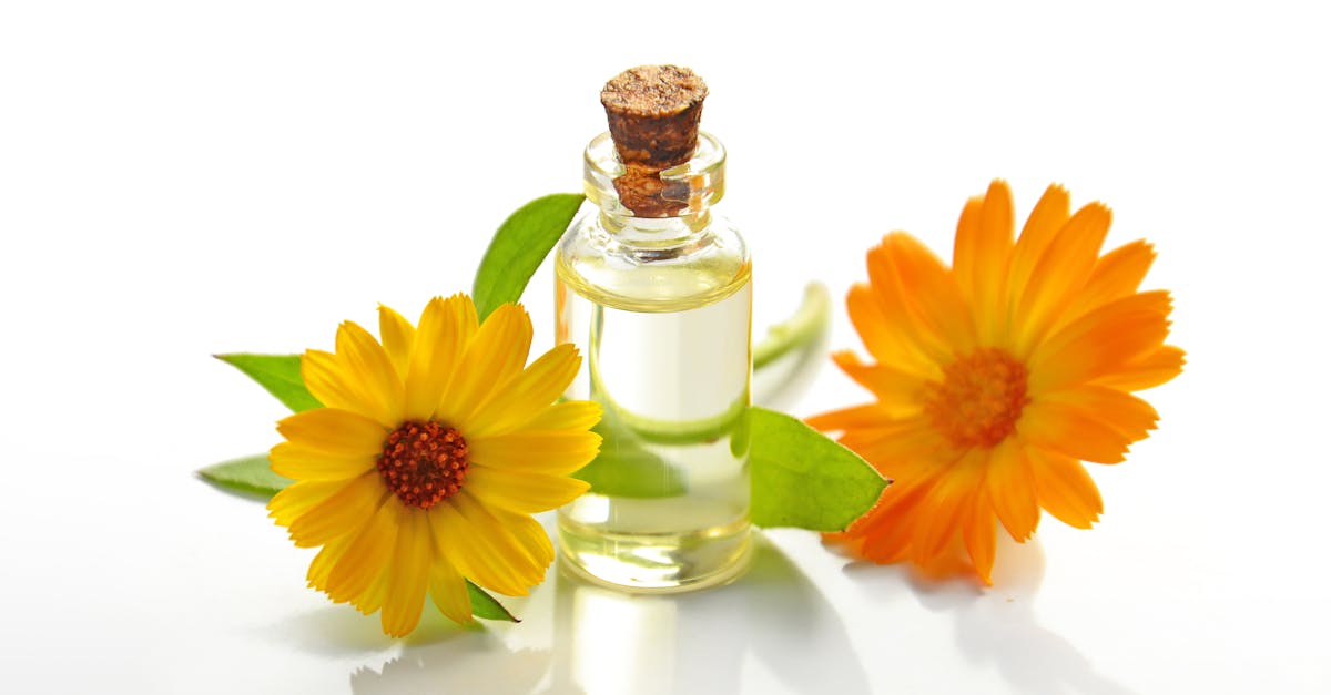 découvrez l'huile de cynorrhodon, un trésor naturel riche en antioxydants et en acides gras essentiels, idéale pour hydrater, régénérer la peau et atténuer les signes de vieillissement. parfaite pour tous les types de peau, elle est un incontournable de votre routine beauté.