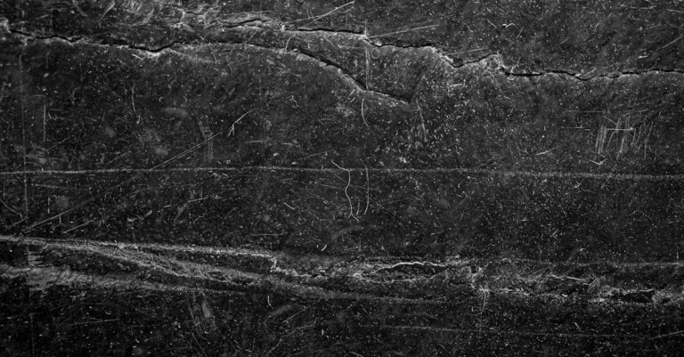 découvrez tout ce que vous devez savoir sur les égratignures : causes, prévention et traitements efficaces pour garder vos surfaces comme neuves. apprenez à identifier les types d'égratignures et à les réparer facilement, que ce soit sur votre voiture, vos meubles ou vos appareils électroniques.