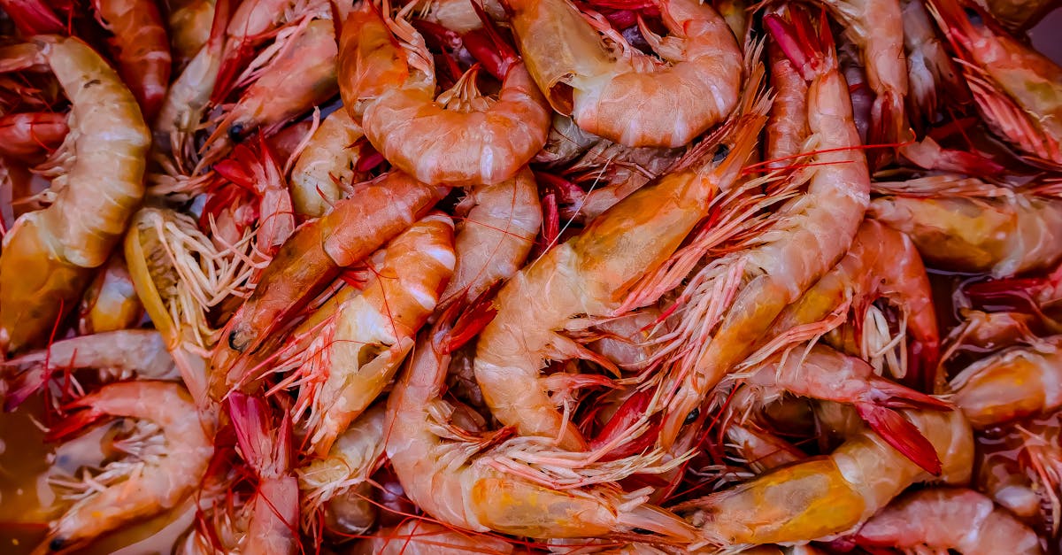 découvrez le monde fascinant des crustacés : recettes savoureuses, conseils de préparation et bienfaits nutritionnels. plongez dans l'univers des fruits de mer et savourez des plats raffinés qui séduiront vos papilles.