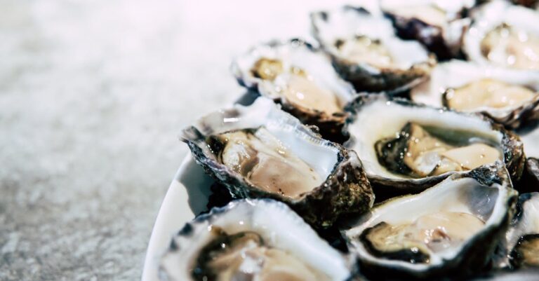 découvrez l'univers des crustacés avec notre guide complet sur les mollusques et les coquillages. apprenez à les cuisiner, à les choisir, et à les déguster pour une expérience culinaire inoubliable.