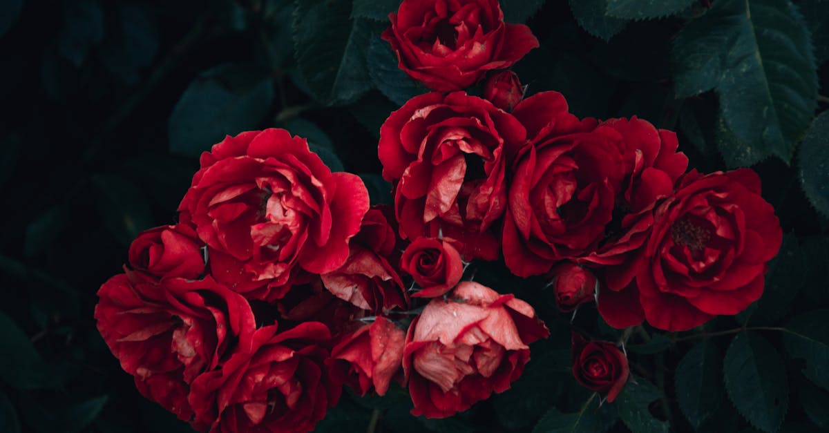 découvrez notre parfum solide, une fragrance délicate et envoûtante qui s'applique facilement sur la peau. compact et pratique, il est parfait pour les déplacements et vous offre une touche de parfum à tout moment de la journée.